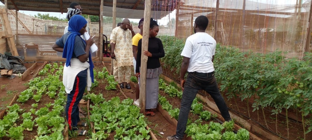 Formation ABC Grower 2