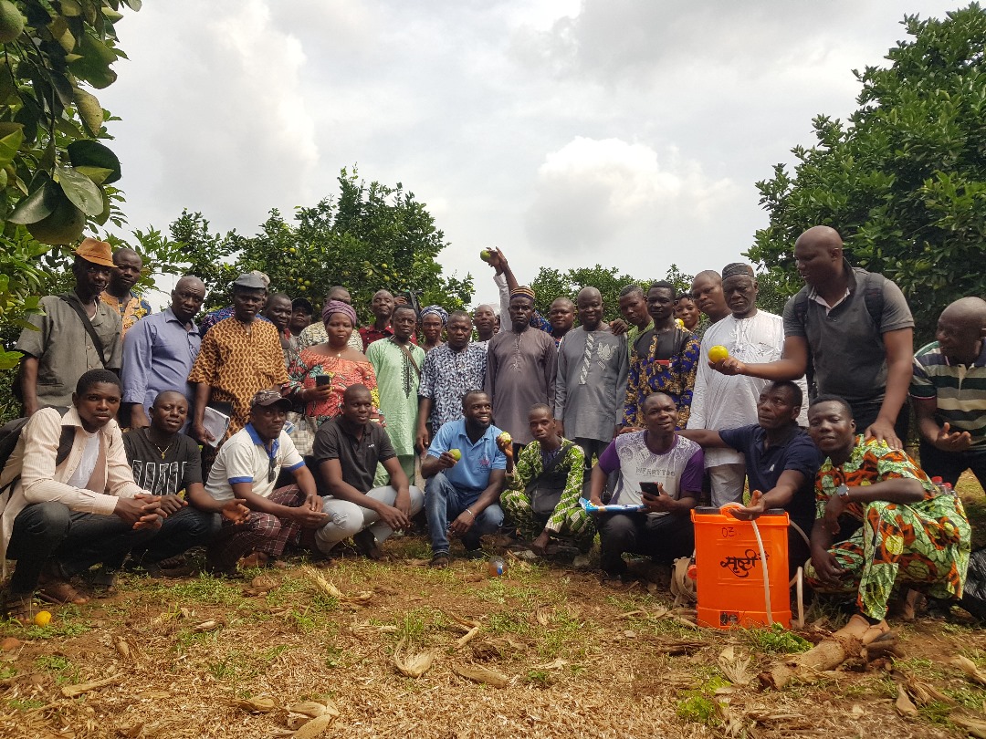 Formation ABC Grower 1