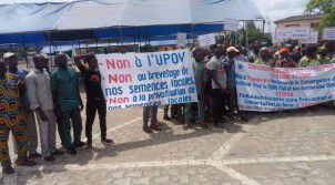 Préservation des semences paysannes