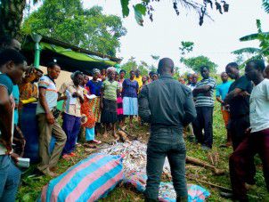 Appui biofertilisants et bioprotecteurs